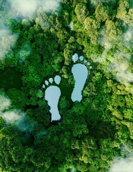 Luftaufnahme eines dichten, grünen Waldes mit einem See in Form von Fußabdrücken: Symbolbild für den ökologischen Fußabdruck