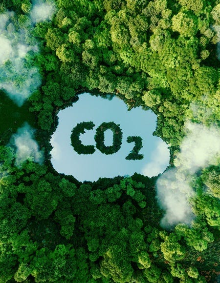 Luftaufnahme eines tropischen Regenwalds mit einem See in Form des Symbols &bdquo;CO₂" als Sinnbild f&uuml;r Klimawandel.