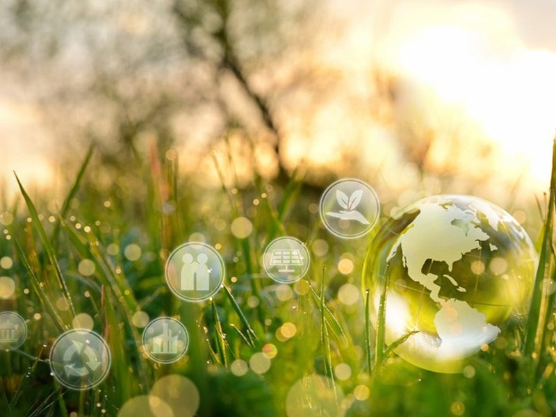 Symbolische Darstellung von Nachhaltigkeit und Umweltschutz: Eine transparente Weltkugel mit Icons zu erneuerbarer Energie, Recycling und grüner Infrastruktur, eingebettet in eine natürliche Umgebung mit Pflanzen.