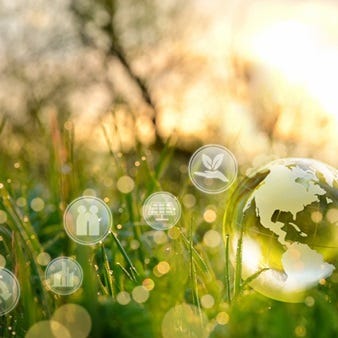 Symbolische Darstellung von Nachhaltigkeit und Umweltschutz: Eine transparente Weltkugel mit Icons zu erneuerbarer Energie, Recycling und grüner Infrastruktur, eingebettet in eine natürliche Umgebung mit Pflanzen.