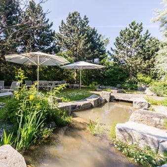 Der Gartenbereich der TÜV Rheinland Akademie Nürnberg mit Teich, umgeben von grüner Bepflanzung und Bäumen. Im Hintergrund stehen Gartenmöbel unter großen Sonnenschirmen.