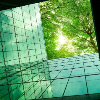 Bildausschnitt einer modernen Fassade in anturbelassener, grüner Umgebung.