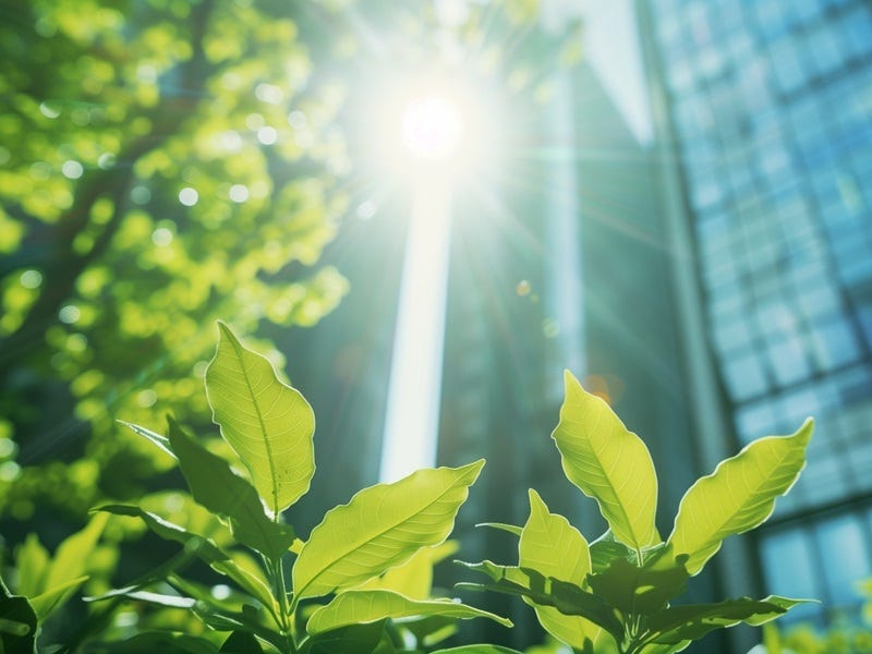 Pflanzen wachsen vor hohen Glas-Hochhäusern, Sonnenstrahlen verbinden Natur und urbane Architektur