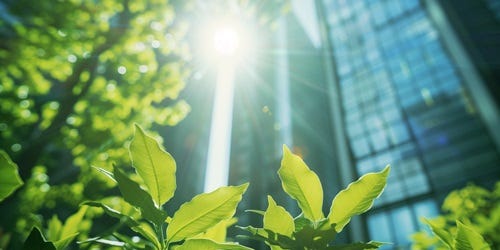 Pflanzen wachsen vor hohen Glas-Hochh&auml;usern, Sonnenstrahlen verbinden Natur und urbane Architektur. 
