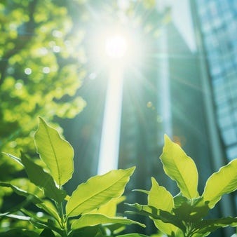 Pflanzen wachsen vor hohen Glas-Hochh&auml;usern, Sonnenstrahlen verbinden Natur und urbane Architektur