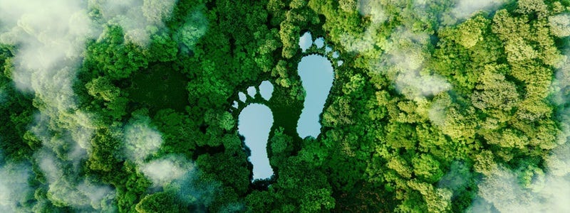 See in einem Wald in Form von Fußabdrücken