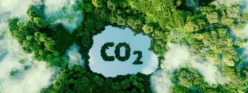 See in einem Wald in Form einer CO2-Wolke