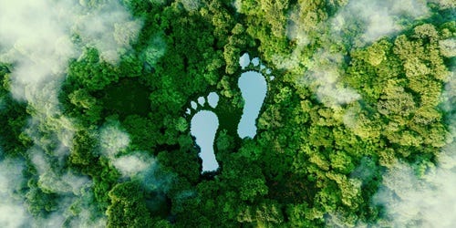 Draufsicht auf einen grünen Wald mit grafisch eingebetteten großen Fußabdrücken