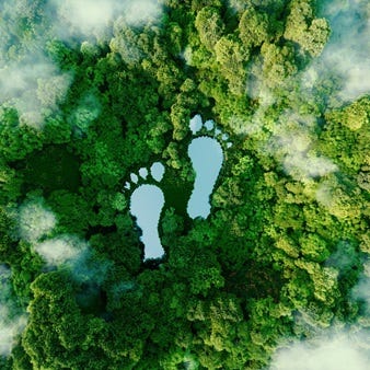 See in einem Wald in Form von Fußabdrücken