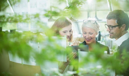 Drei Fachkräfte diskutieren in einem begrünten Büroraum.
